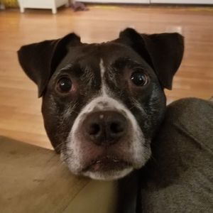 Meet your Posher, Jonathan